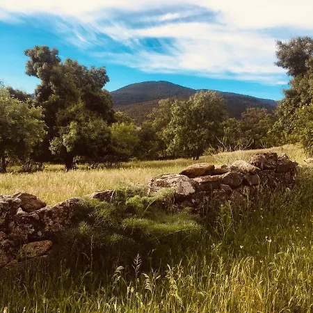 Apartamento Acogedora Casa Con Patio En *