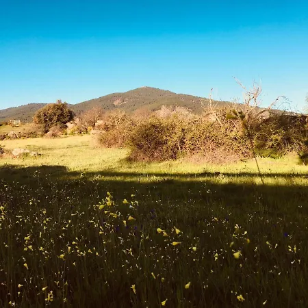 Acogedora Casa Con Patio En Apartamento *