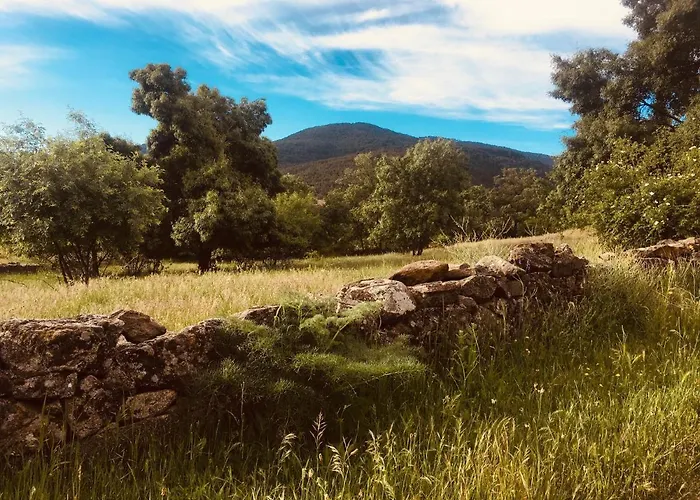 Apartman Acogedora Casa Con Patio En *