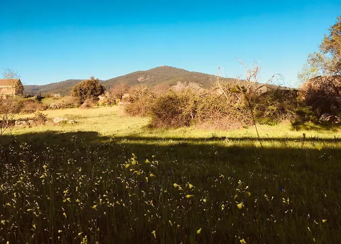 Acogedora Casa Con Patio En 公寓 *